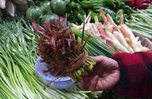 12 Spring Vegetables Beloved by People in Qijiang - Harvesting Guide!