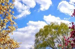 Flowers Bloom, Only in the Deep Autumn