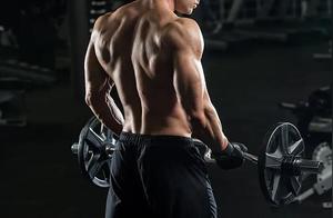Three Times a Week Muscle Building Plan, Body Part Split Training, Create Your Dream Muscle