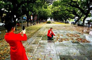 Guilin Camphor Tree Fallen Leaves are as Beautiful as Paintings, Vibrant ‘Carpets’ Lined Streets