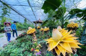 Spring Tour of Jianghu - We Invite You! Experience Nature, One Scene at a Time! Bozhou Science Popularization Botanical Garden Soon to Open!
