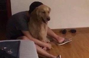 Crazy Experiences After Getting Drunk! My friend pulled a 'good luck charm' with a little golden retriever!