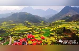 Come to Nian Shan and Tian Shan ( and ) for a 'Blue Mist' Experience! Standing on the Shuang Nu Peak summit, surrounded by a layered sea of rapeseed flowers.