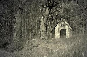 Spending a Night in This ‘House’ Could Win You a $70,000 Prize – Will You Dare to Stay?