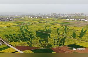 Yangxian Unveils Three Stunning New Flower Viewing Art Patterns This Year