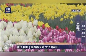 CCTV Showcased the Beautiful Views of Tai Bai Wan to the People of China! Netizens: Jealous of You Hangzhou People