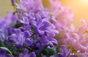 Perhaps it's simply that we are too busy, overlooking the bustling city will also offer refreshing scenery.