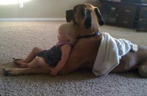 Increasingly, I've found that children are often raised by dogs.
