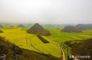 The Beautiful Luo Ping: Golden Fields