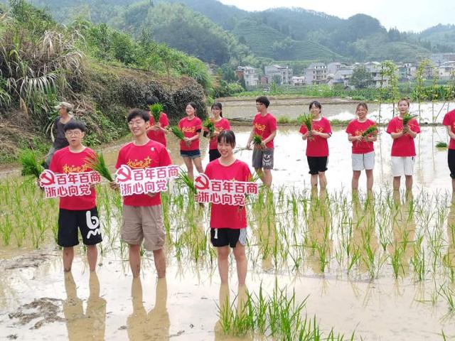 义乌|暑期实践 | 插秧除草、驰援河南、探访市场党建……浙商大学子这样开展暑期实践