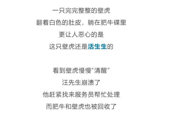 壁虎|火锅里吃出“会眨眼”的壁虎，崩溃！恶心！