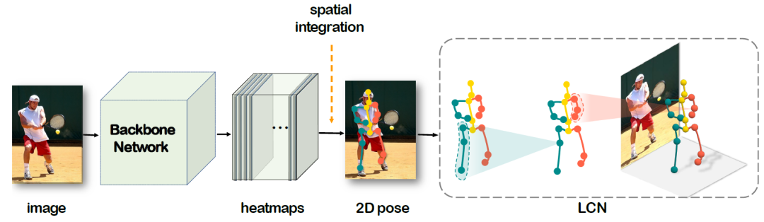 人体|用于单目3D人体姿态估计的局部连接网络，克服图卷积网络限制