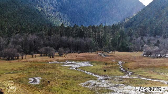 「旅行柚子君」镶嵌在高山森林之中的绿色宝石,这就是草湖