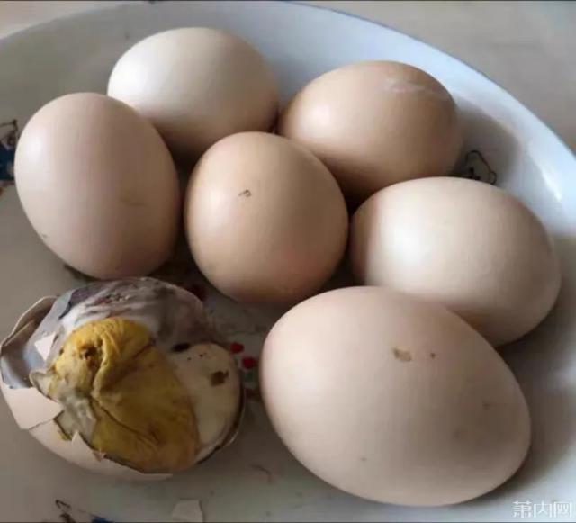 超级宝妈|饭桌上总有这道菜!宝妈犯难:18个月宝宝到底能不能吃?