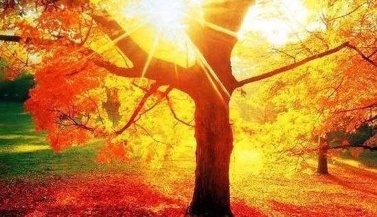 Seven Things That Can Help You Achieve a Successful Life