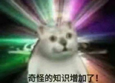 「麻辣杂谈」49元“白菜价”机票背后有何秘密？