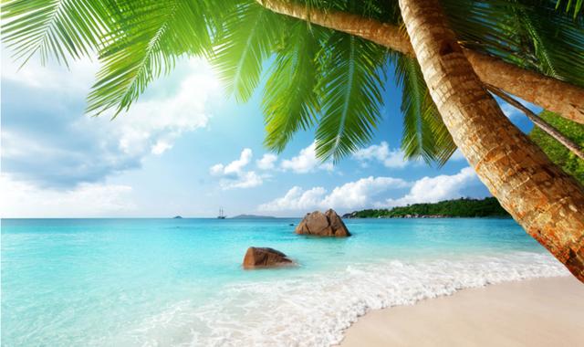 金牌大叔|儿童画教程｜低幼儿趣味画--碧海椰风