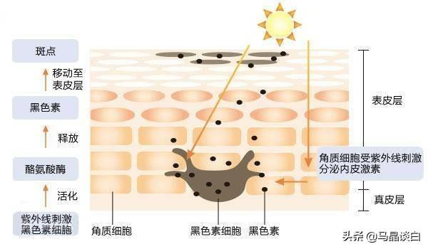 一笼包子这么大威力？9岁男童被送进医院，白癜风趁机爬杆而上