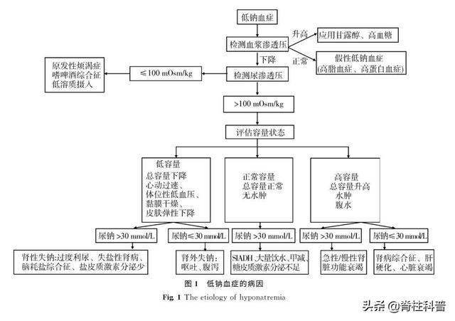 入院重点保护对象：68岁阿叔脊柱化脓了还合并有电解质紊乱（下）