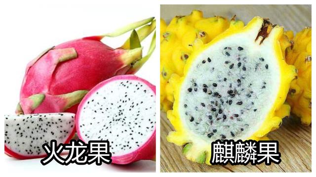 水果中“孪生兄弟”，一个“青铜”，一个“王者”，你都吃过吗？