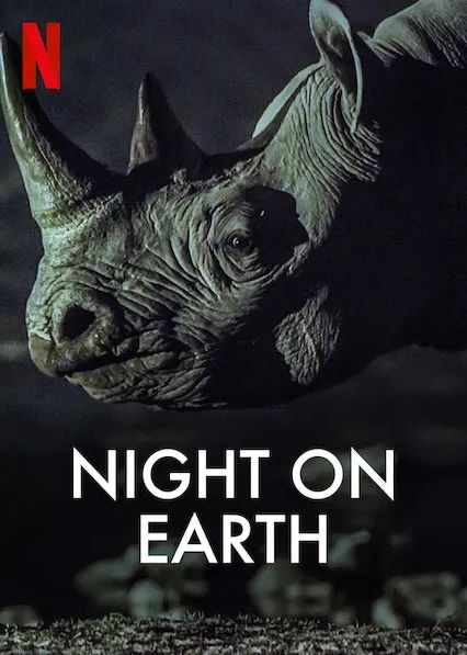 「陌颜幽梦」推荐给孩子这部9.4分的纪录片:曝光前所未有的地球夜景