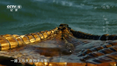 暖先生格调▲孩子不想上学？给他看这部片：读书是普通人逆袭最好的出路！