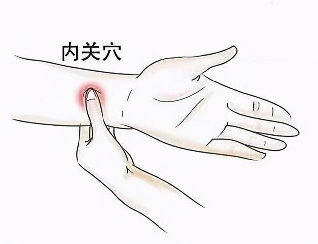 晕车居然是因为「脑子不好」？