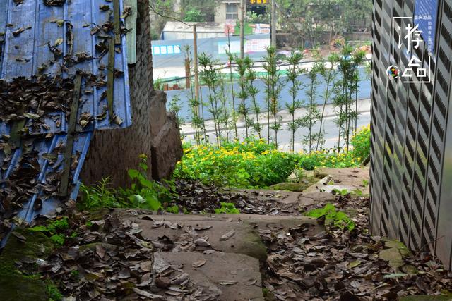 「趣旅游」山城重庆的“陷阱”:佛图关到李子坝只要210米?千万不要信