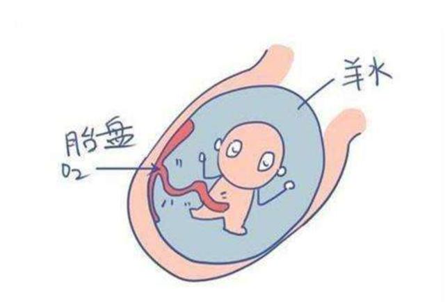 你的育儿经@孕妈请了解！怀孕后，这3个坏习惯孕妈不能有，羊水质量变差