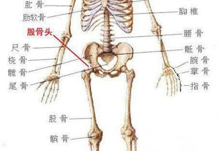 「超级宝妈」“屁股大好生娃”这个说法有科学依据么？