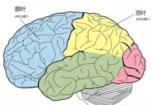 孩子注意力不集中，与先天无关，掌握锻炼方法一样可以变专注