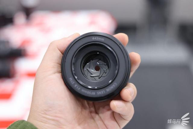 轻巧体积 佳能RF50mm F1.8 STM镜头实拍