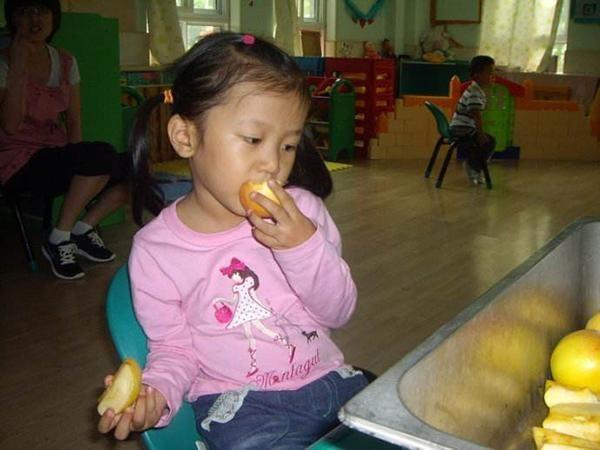 你的育儿经|辟谣！孩子吃鸡蛋会积食，吃多还会损伤脾胃？儿科医生给出了答案