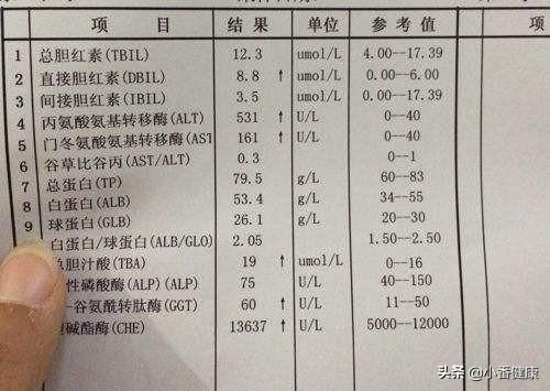 药物控制乙肝进展，促使肝功能稳定，消除乙肝误区