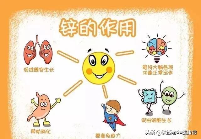 儿女天天乐|「健康指导」你家宝宝需要补锌吗?