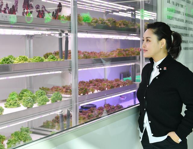 张博文|“浪漫使者”张程程：她和“西安味道”