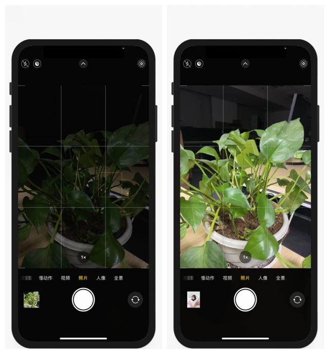 经常用iPhone手机拍照，记得打开这6个功能，用处很大