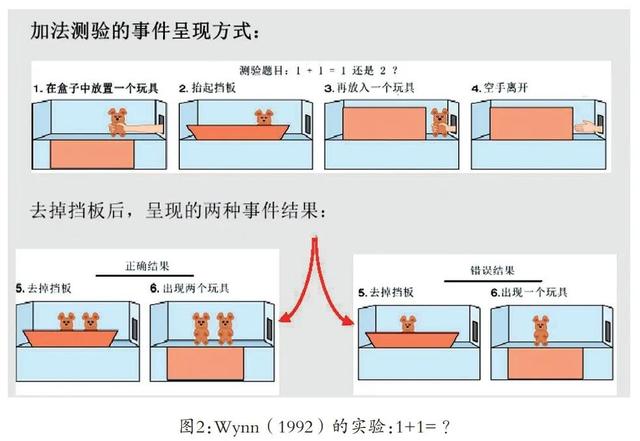 脑科学与教育 | 幼儿也有“数学脑”！发展幼儿数学能力，从这几方面入手