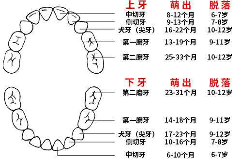 「超级宝妈」宝宝长牙期的痛苦您了解吗？关注出牙时间表，家长学会护理很重要