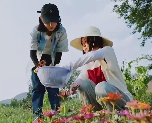 《向往4》全员穿傣服，“松枫姐妹”美翻，任嘉伦反差萌贼可爱|资讯早知道