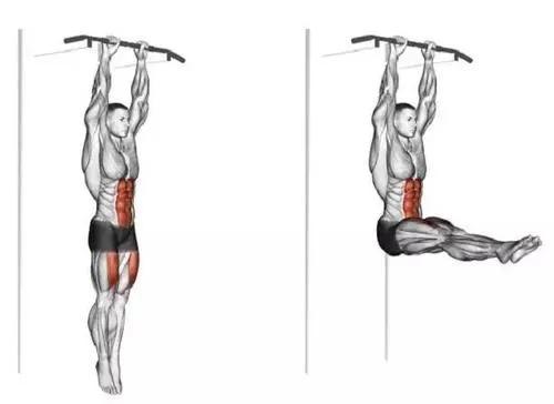 干货分享！深入剖析与腰痛相关的7块肌肉