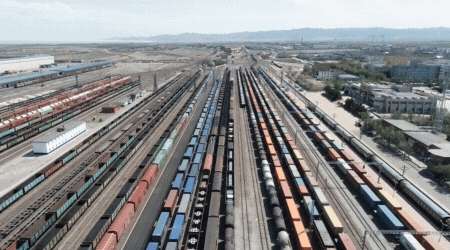 中欧|春节不打烊！“一带一路”明星“带货王”来咯