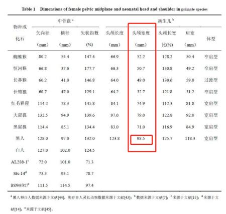 「超级宝妈」“屁股大好生娃”这个说法有科学依据么？