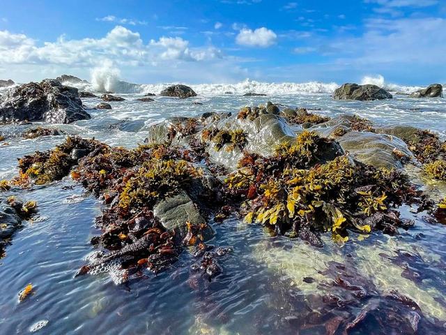 带着iPhone 12 Pro Max探访迷失海岸：记录沿海荒原之美