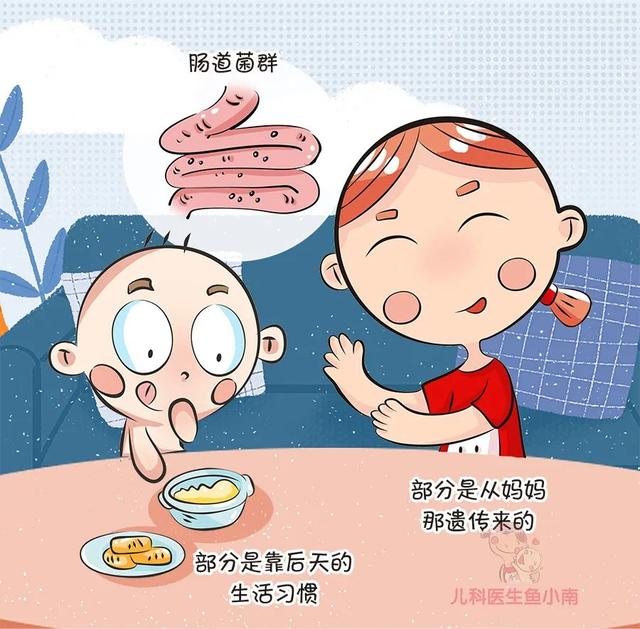 【你的育儿经】益生菌不可滥用！如何正确给宝宝服用益生菌，何时补充益生菌？