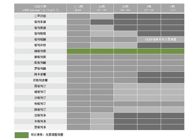 防微杜渐，“肾”入人心：瑞格列奈助力糖尿病肾病的防与治