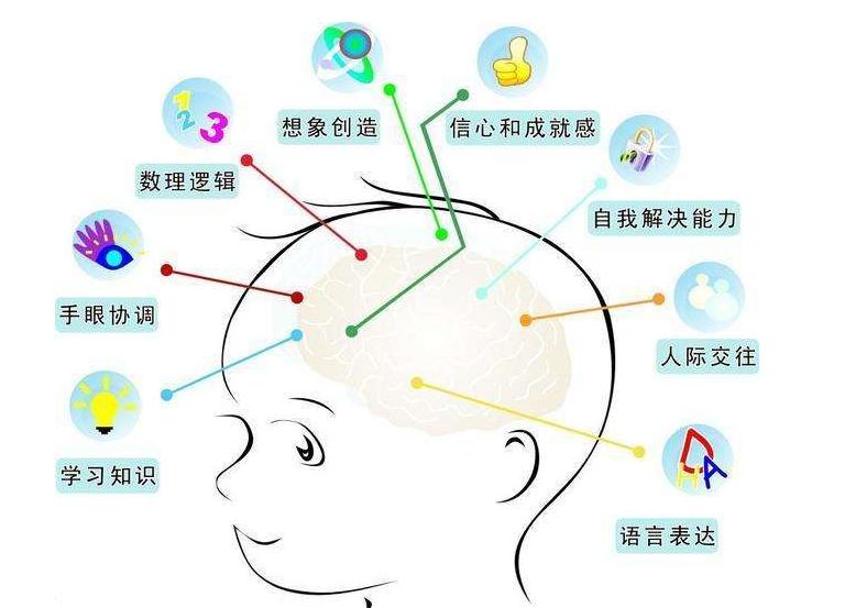 大脑|孩子突然“开窍”了怎么回事？父母戏称：感觉瞬间开了挂