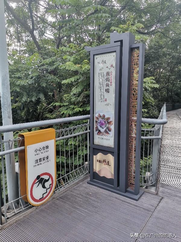 【山楂味的诗】走马观花,看顺德大良。