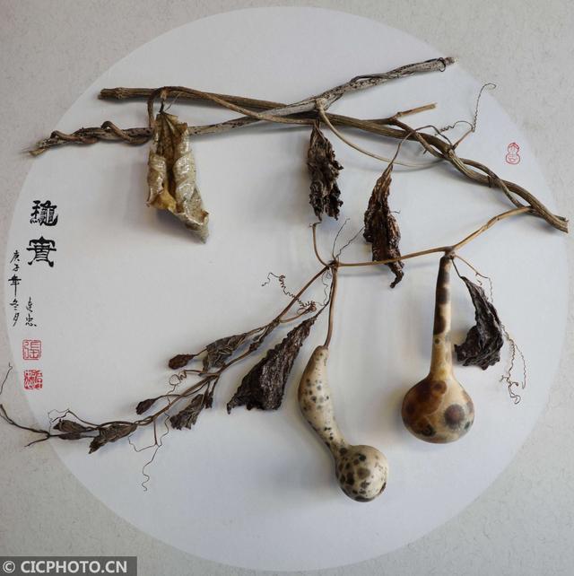 葫芦画|河北临西：立体“葫芦画”充满“生态味儿”