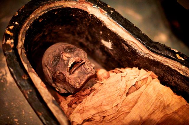 「新闻晨报」3000年前的埃及木乃伊在实验室里开口说话，但这声音或许并不像他的
